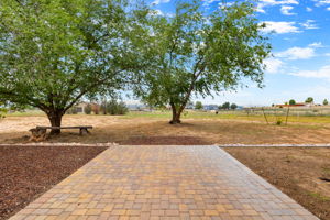 Backyard_1