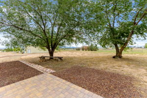 Backyard_2