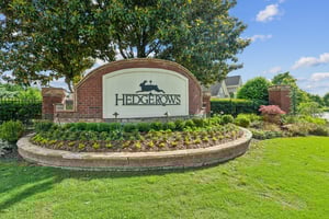 Local_Flavor_Films-2581 Trailing Ivy Way NE, Buford, GA 30519-410.jpg
