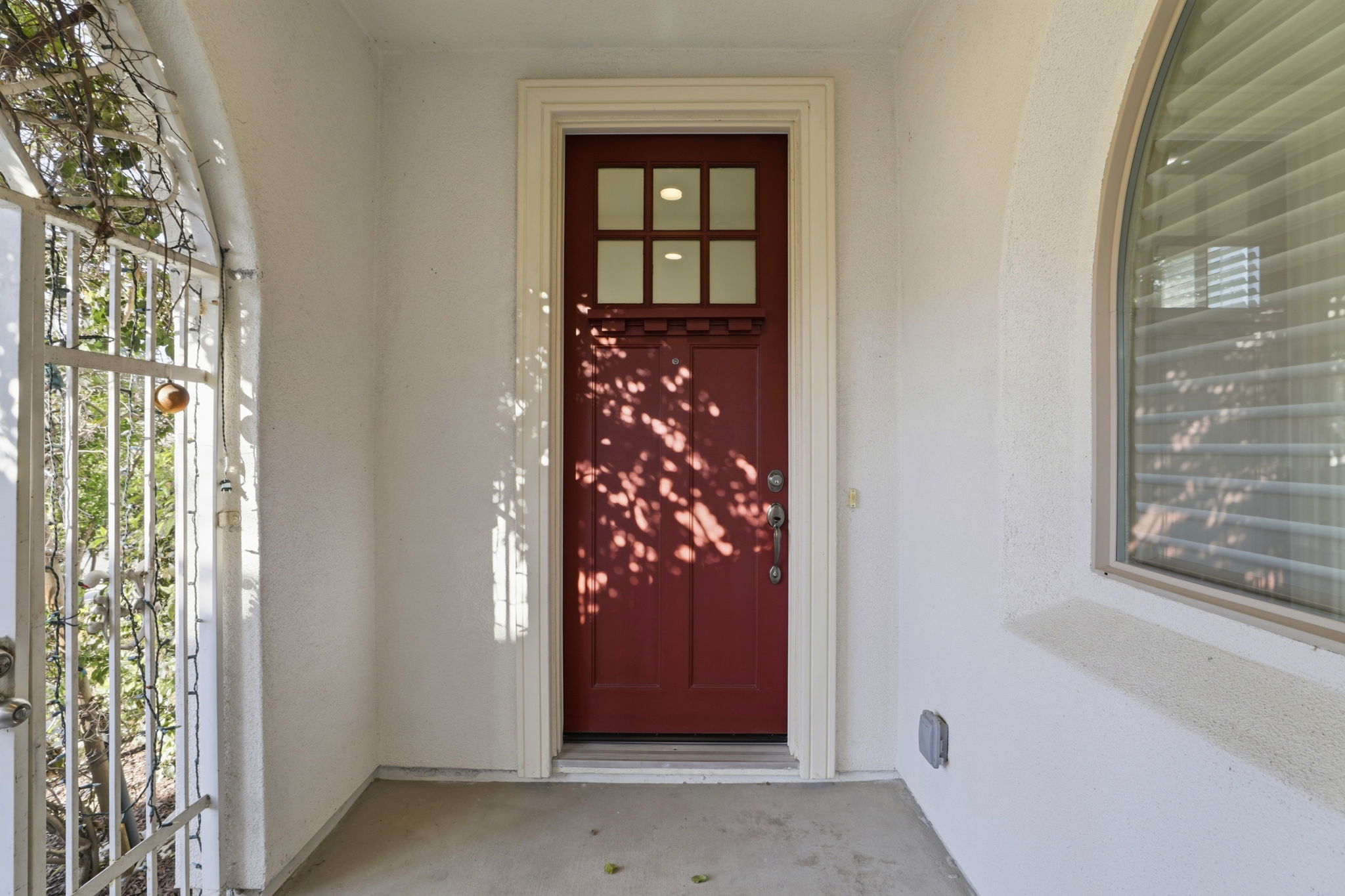  Photo 7
