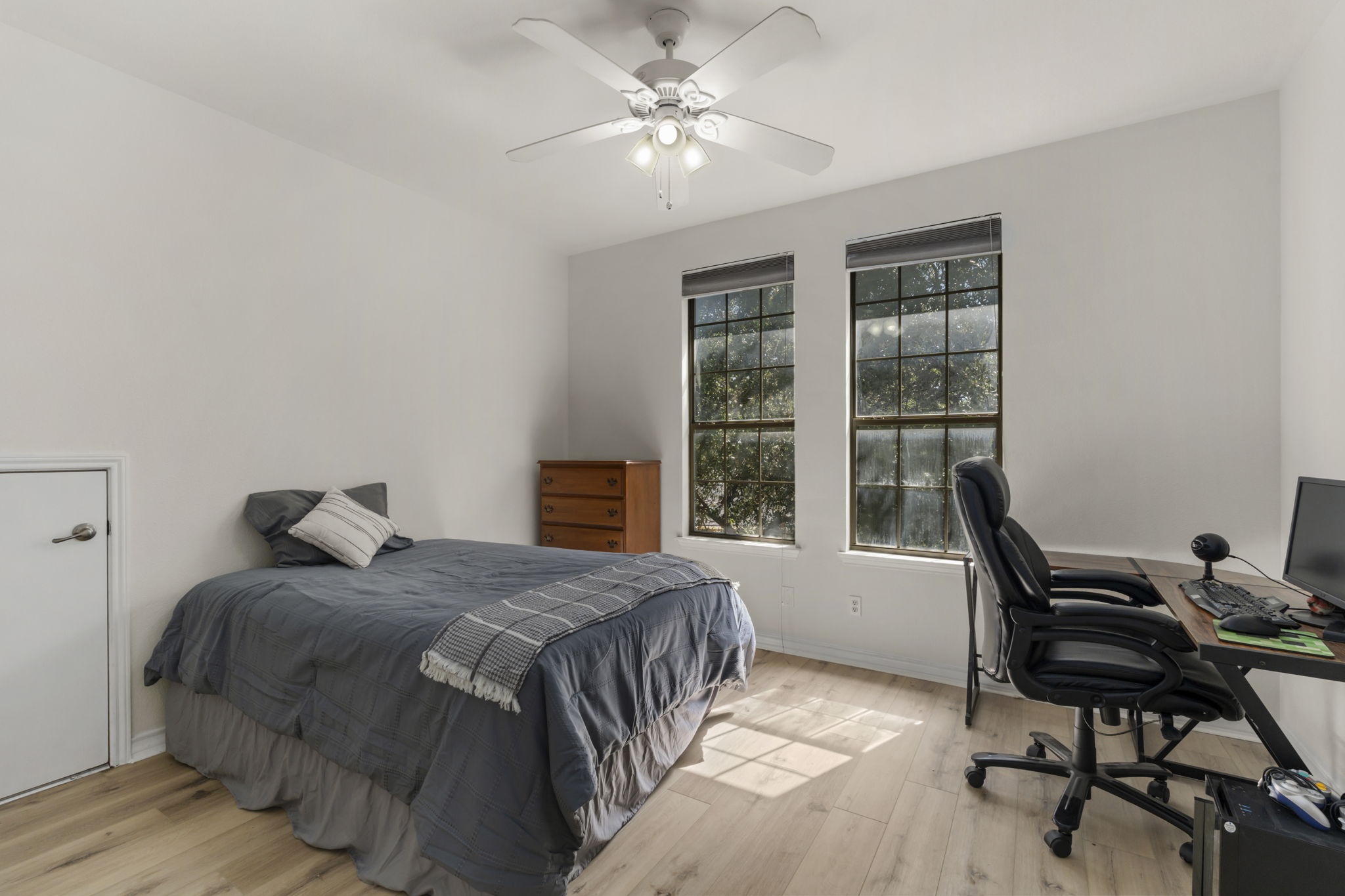  Photo 29