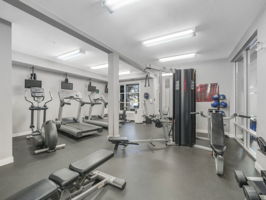  Photo 46