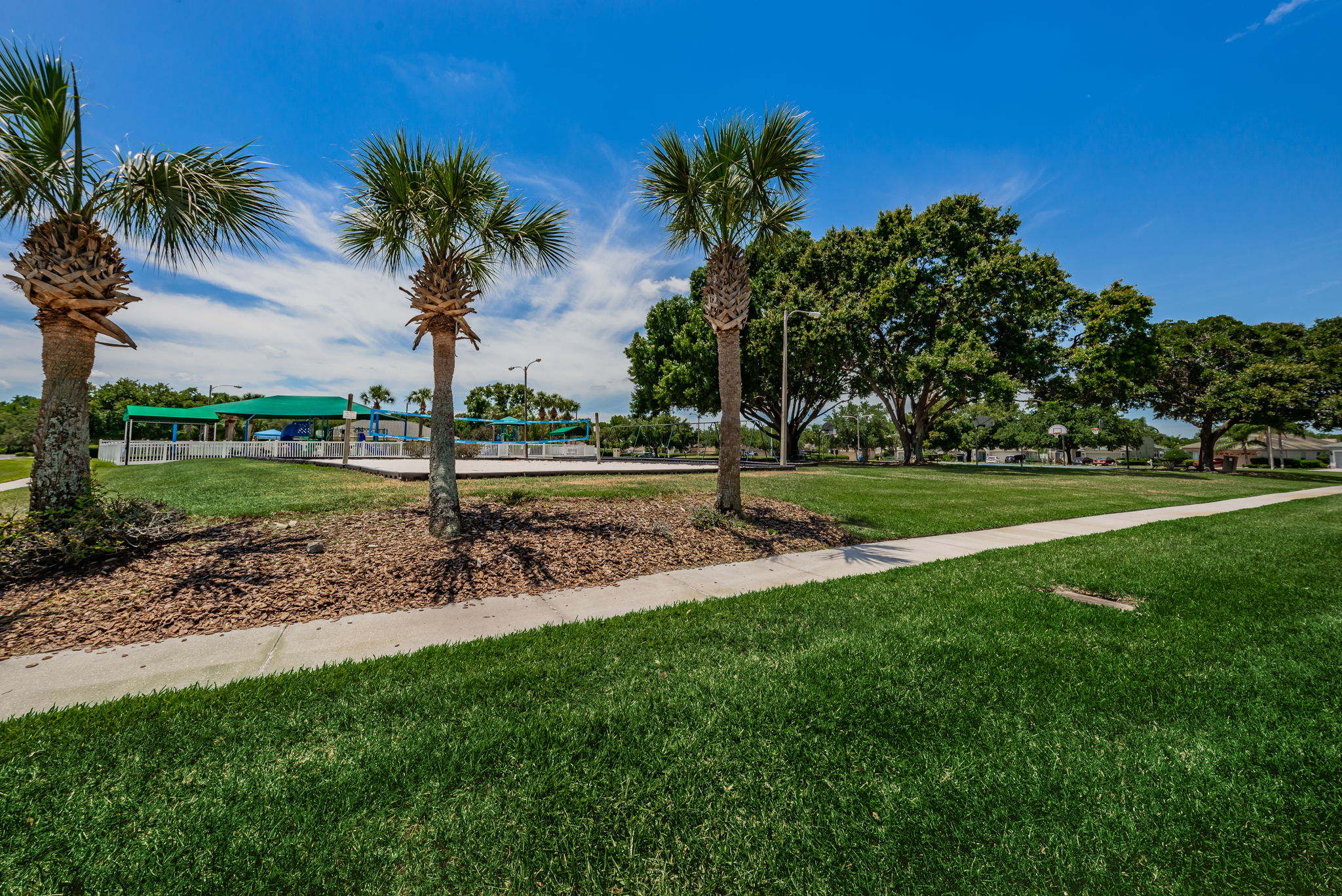 30-Park