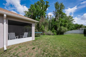 Backyard 2