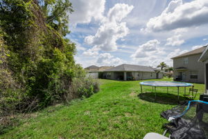 Backyard 1