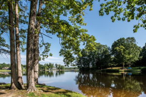  Photo 55