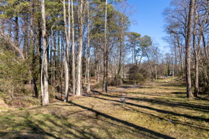 20260216_2596avery_nassar025