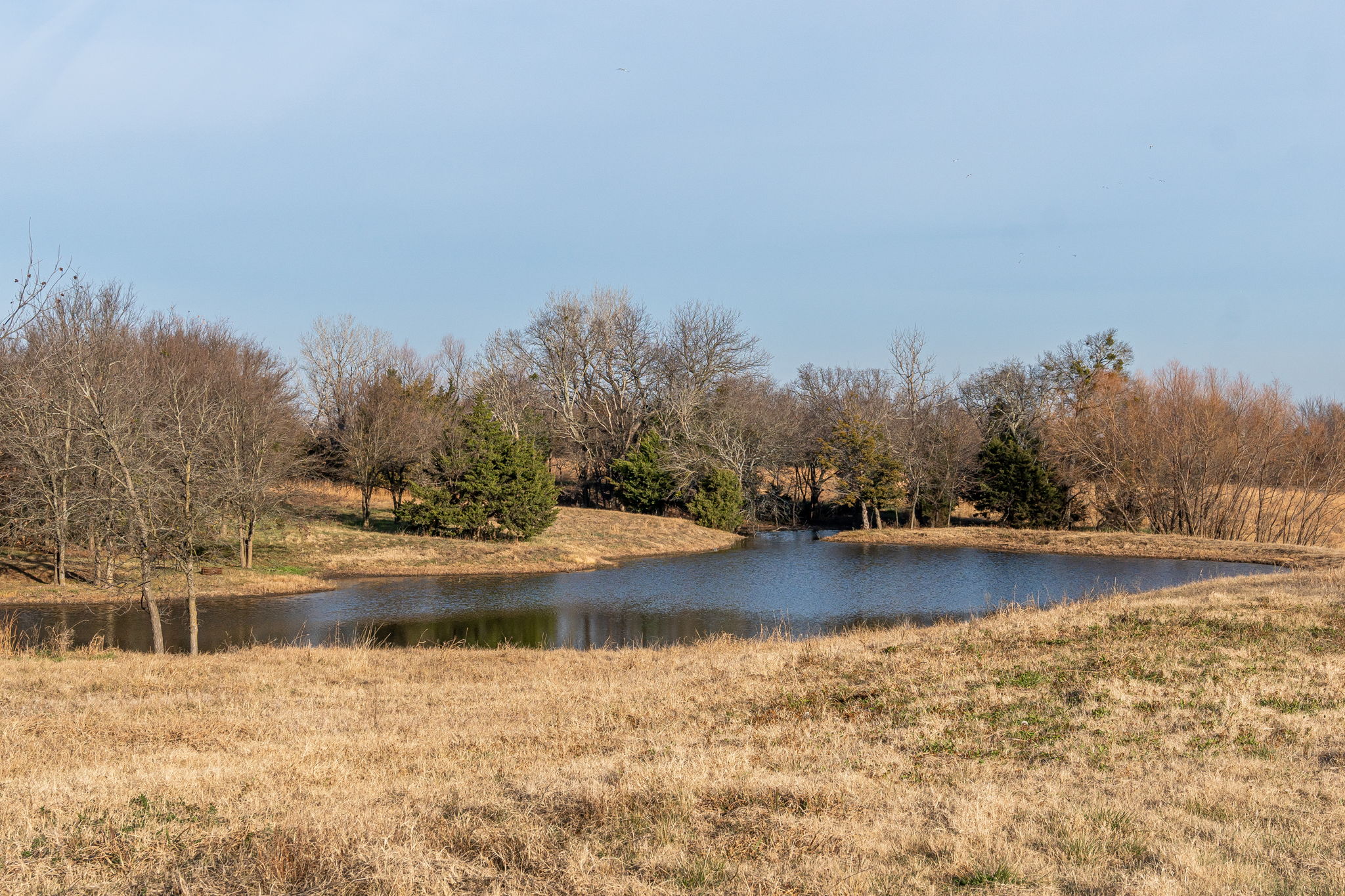  2597 Spalding Rd, Sherman, TX 75092, US Photo 6