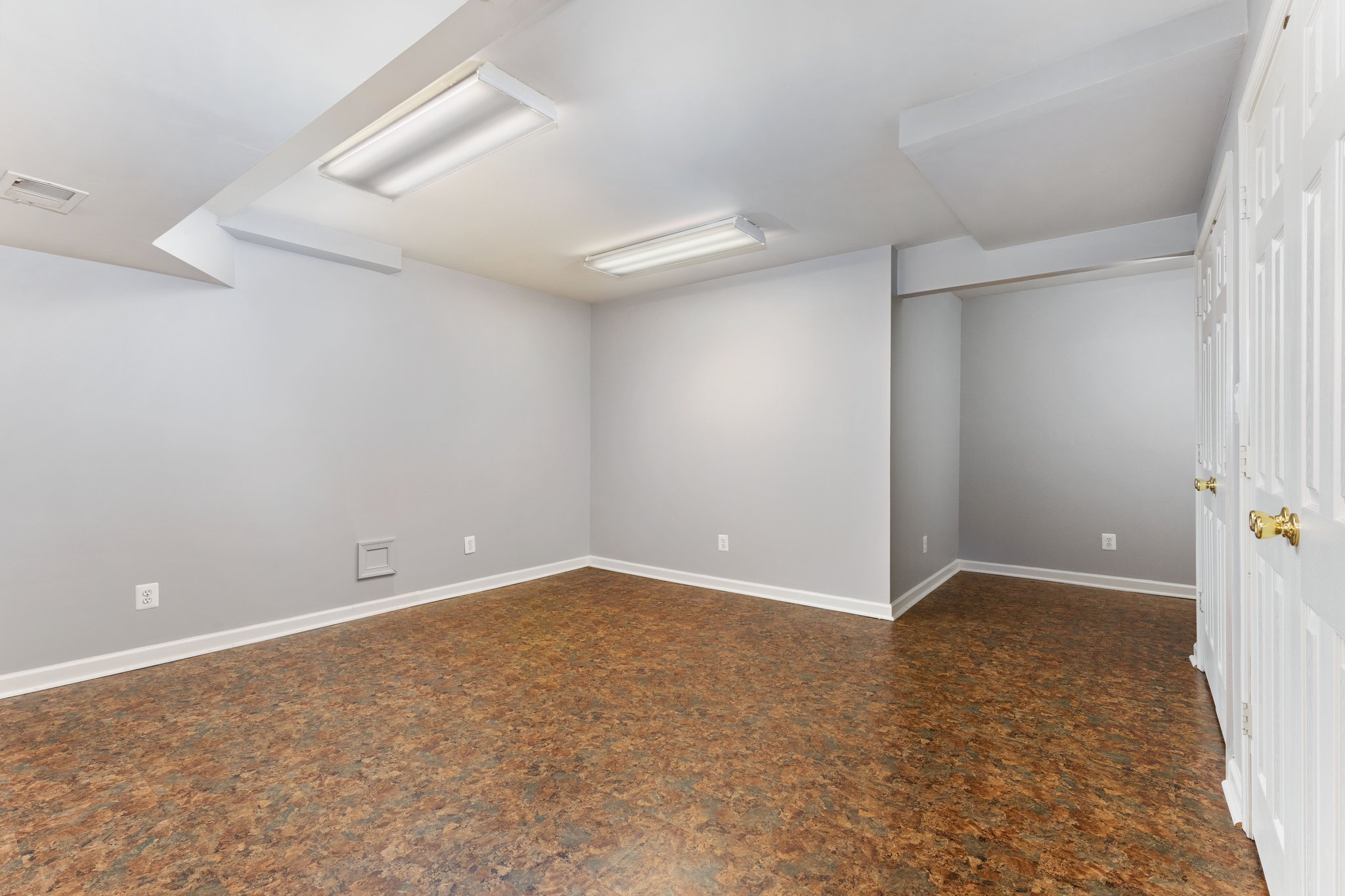 Perfect Home Gym-Lower Level