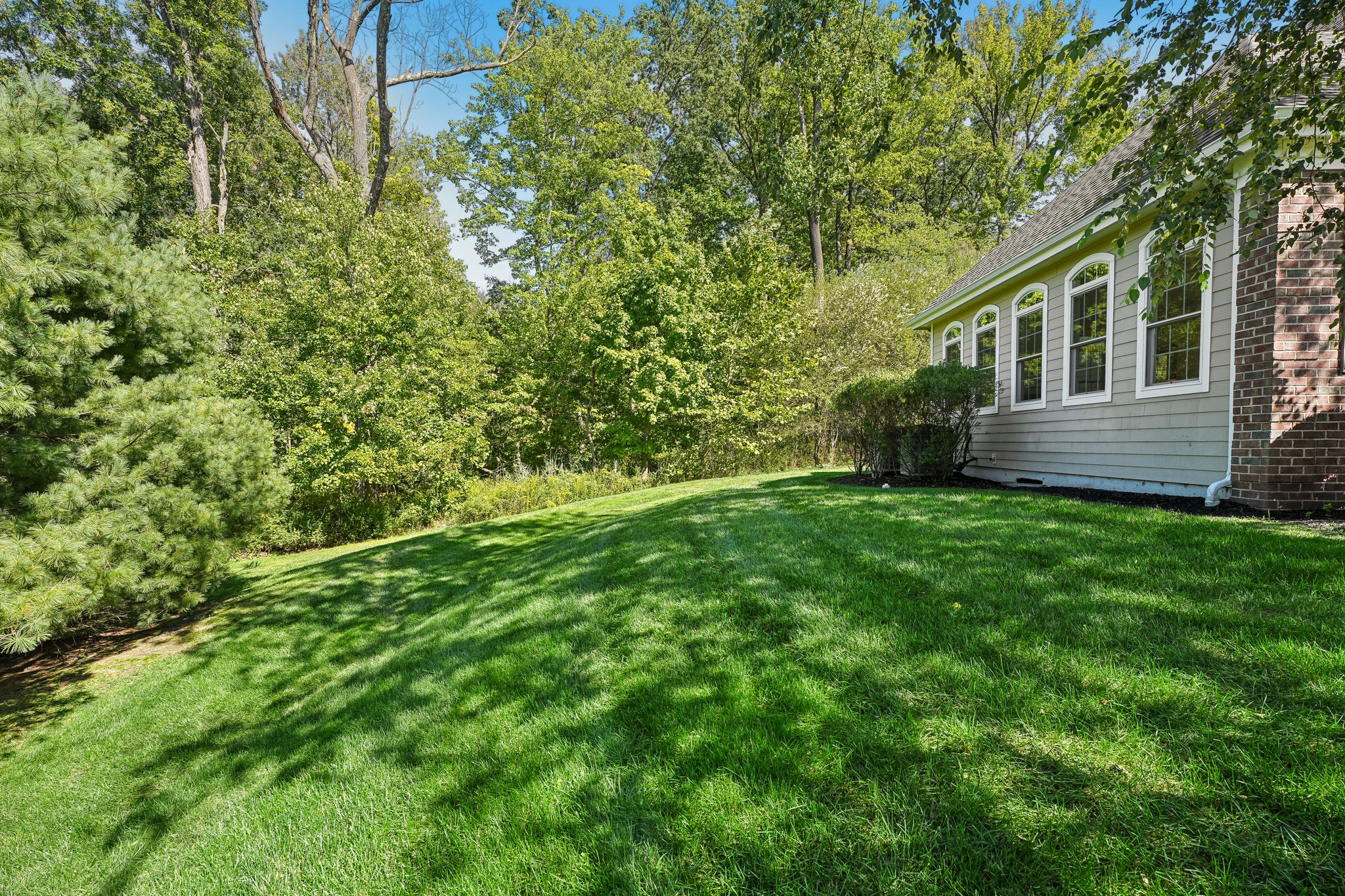 Side Yard