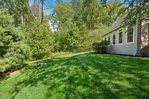 Side Yard