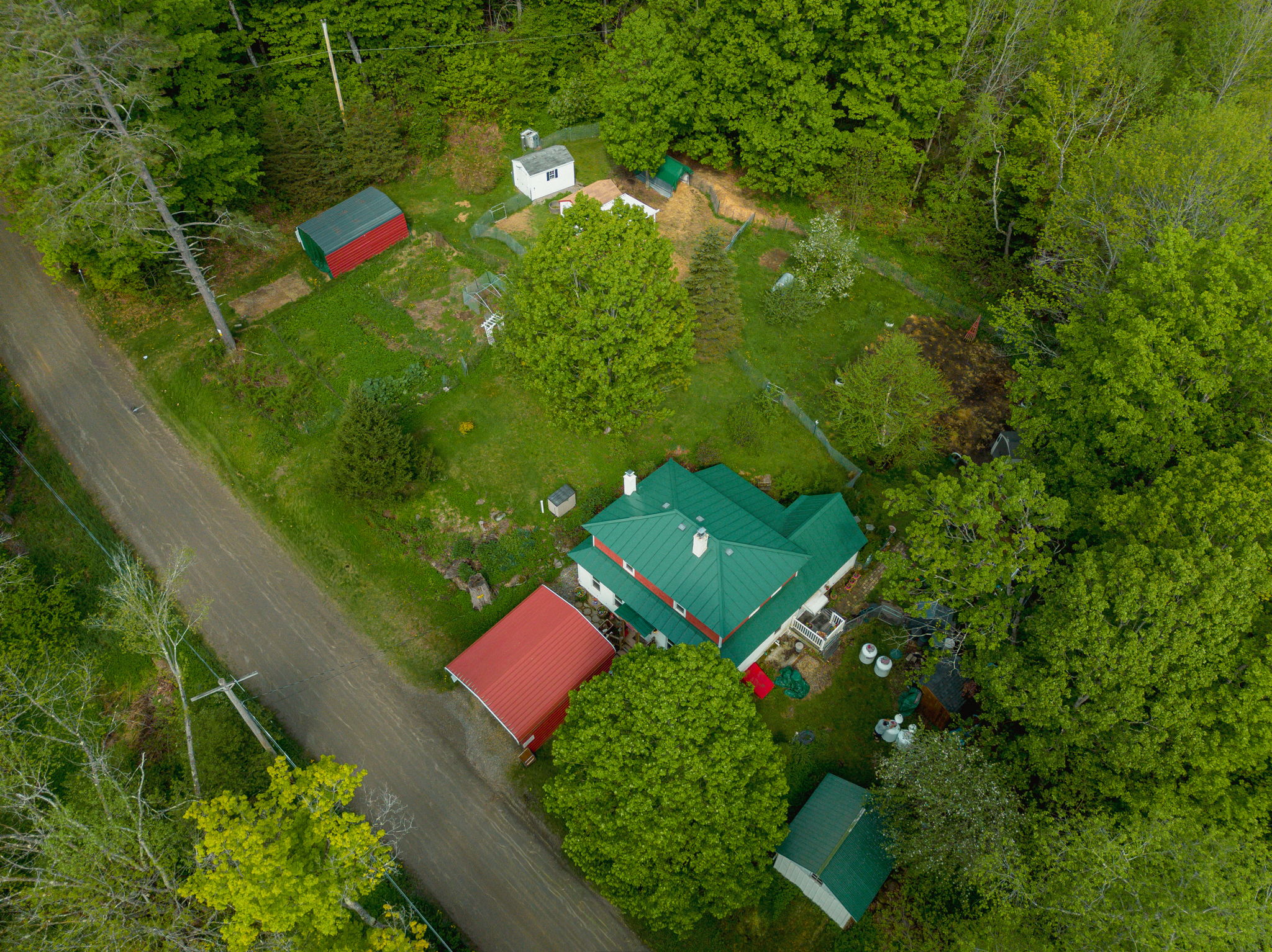  Photo 4