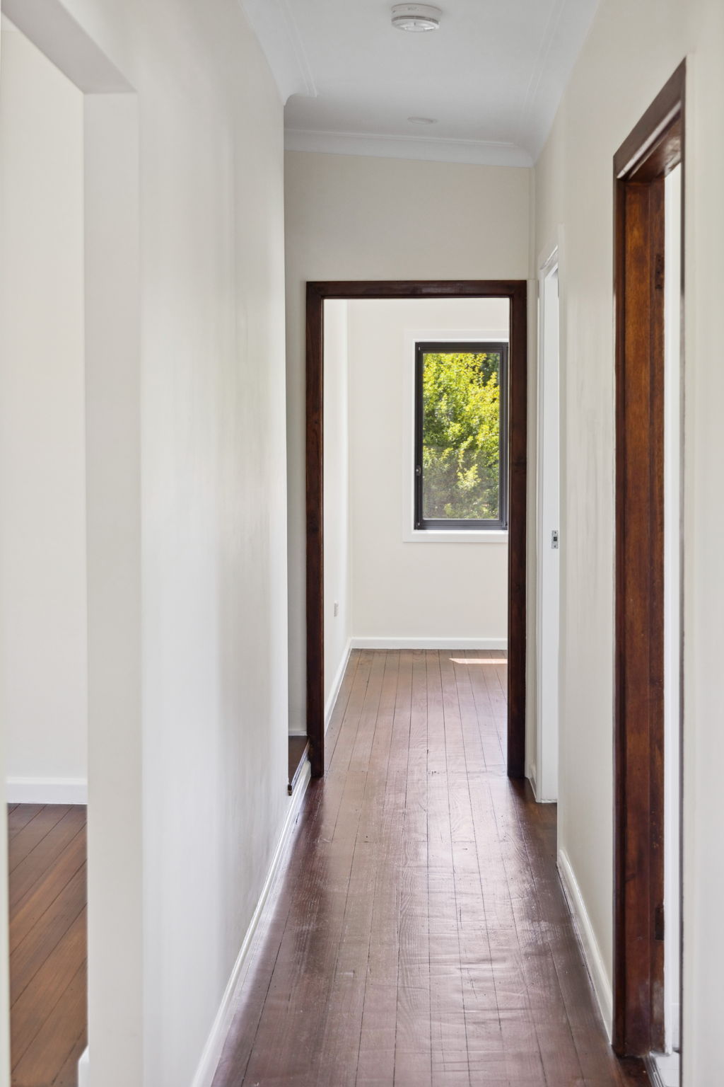 26-Druitt-St-8
