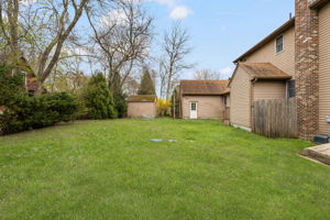  Photo 49