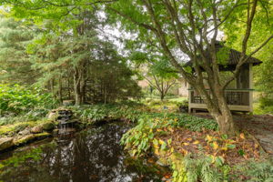  Photo 37