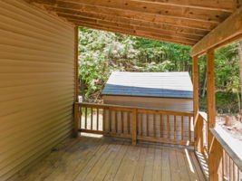  Photo 41