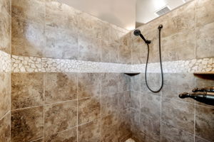 Primary Bathroom Shower