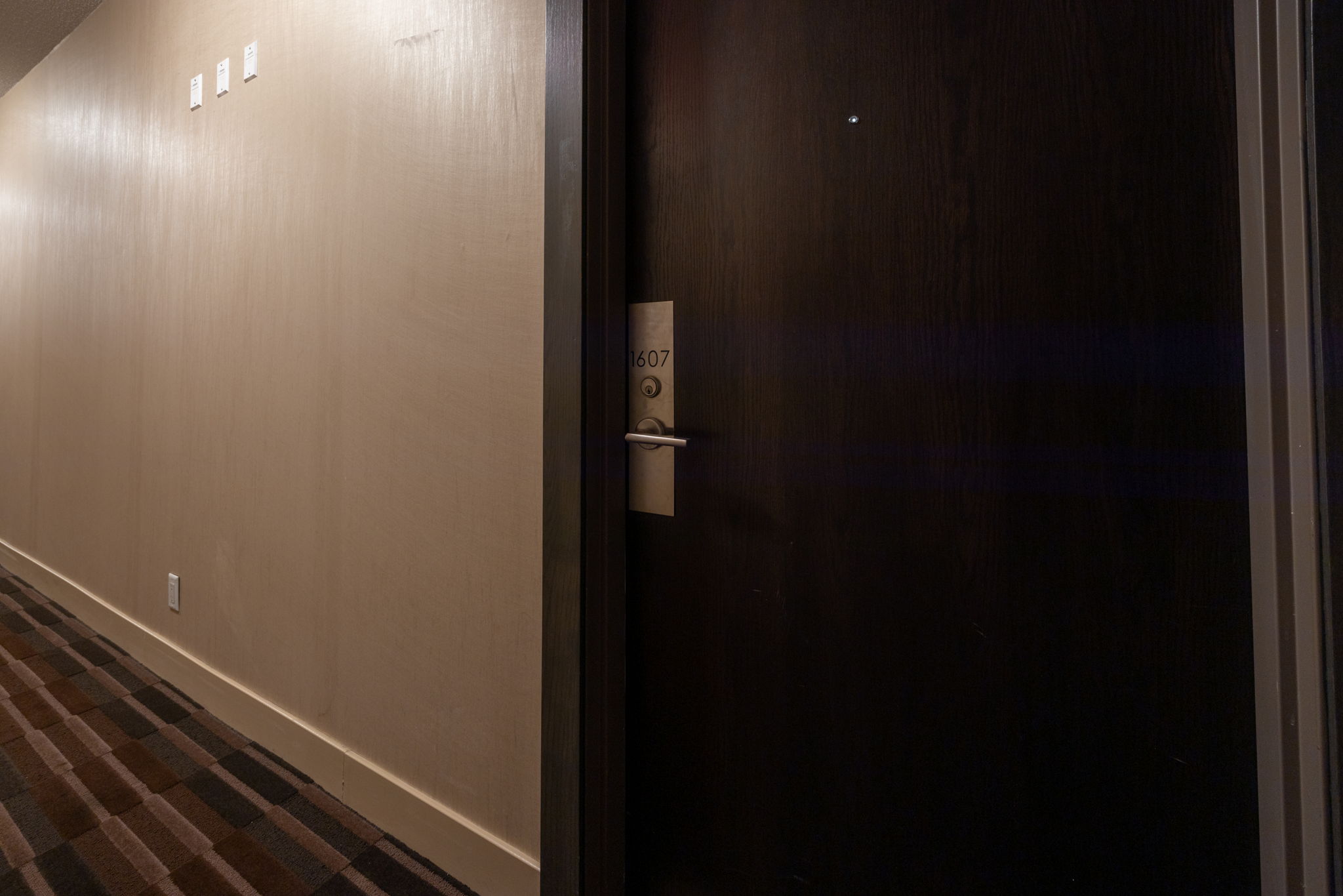 Toronto property showcase — delivered property photograph 4