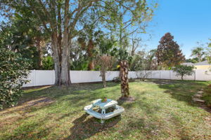 Backyard