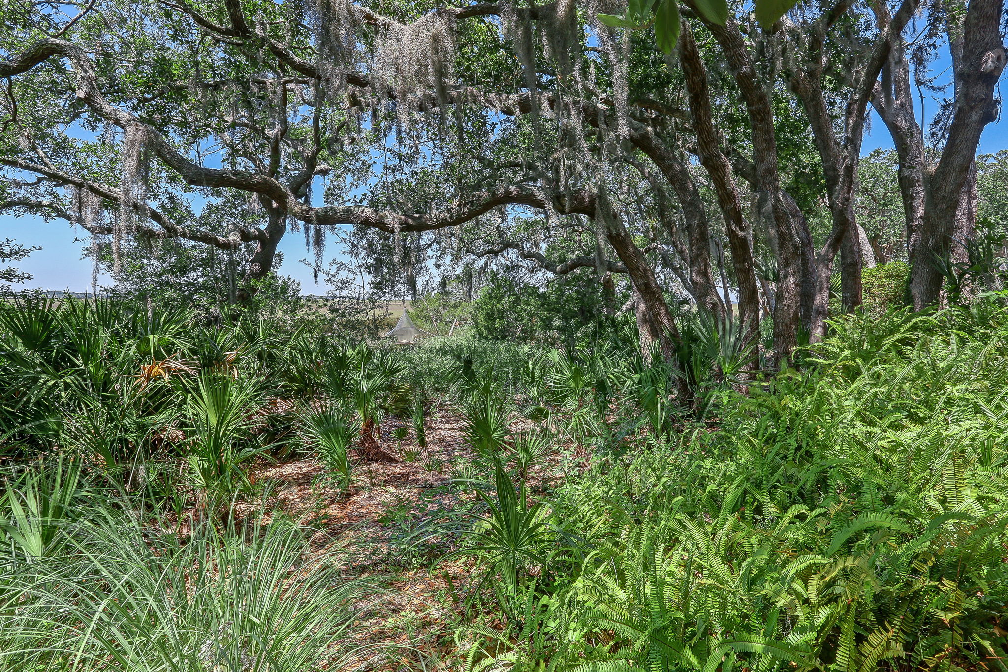 Side Yard