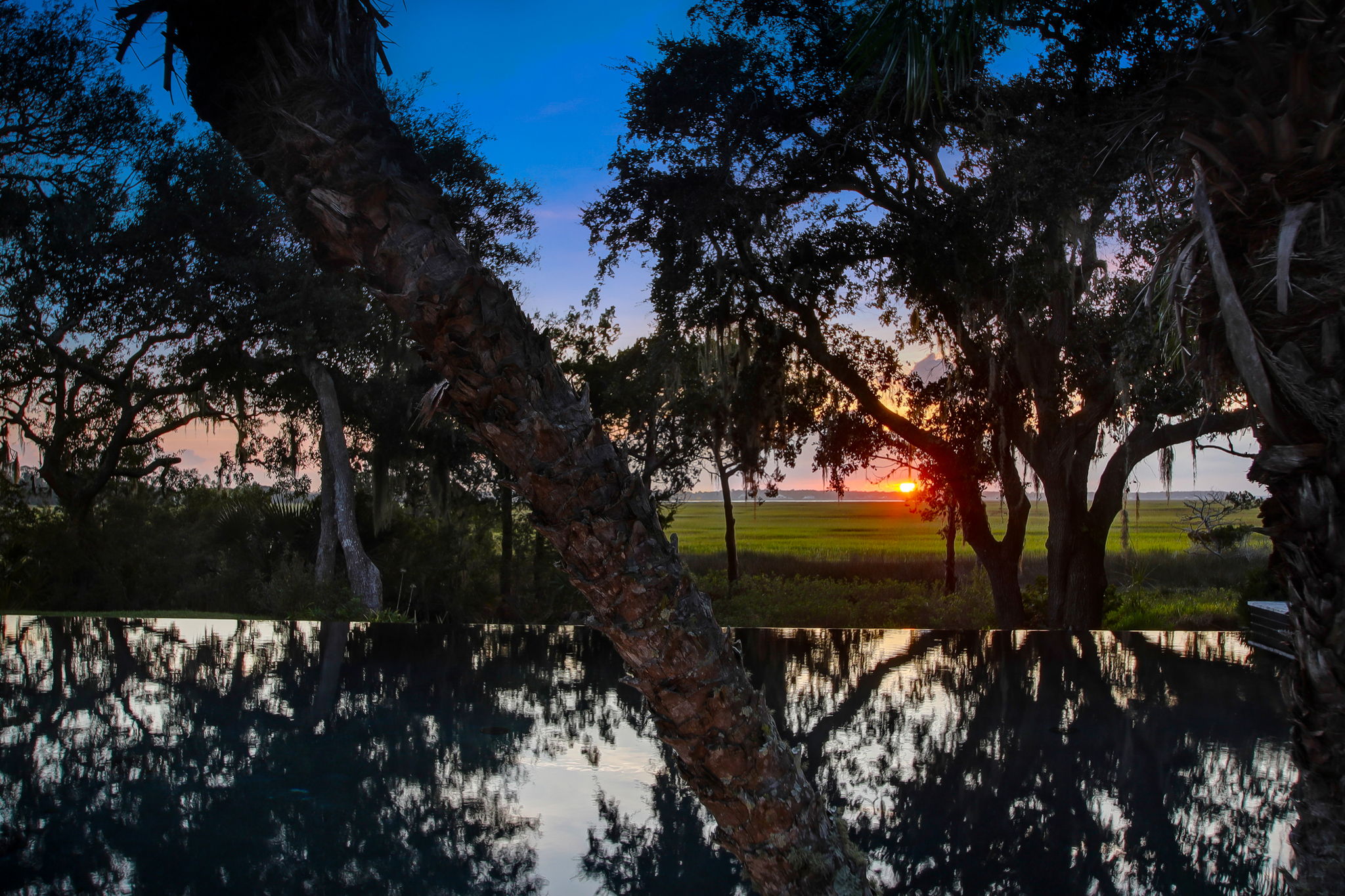 Twilight View