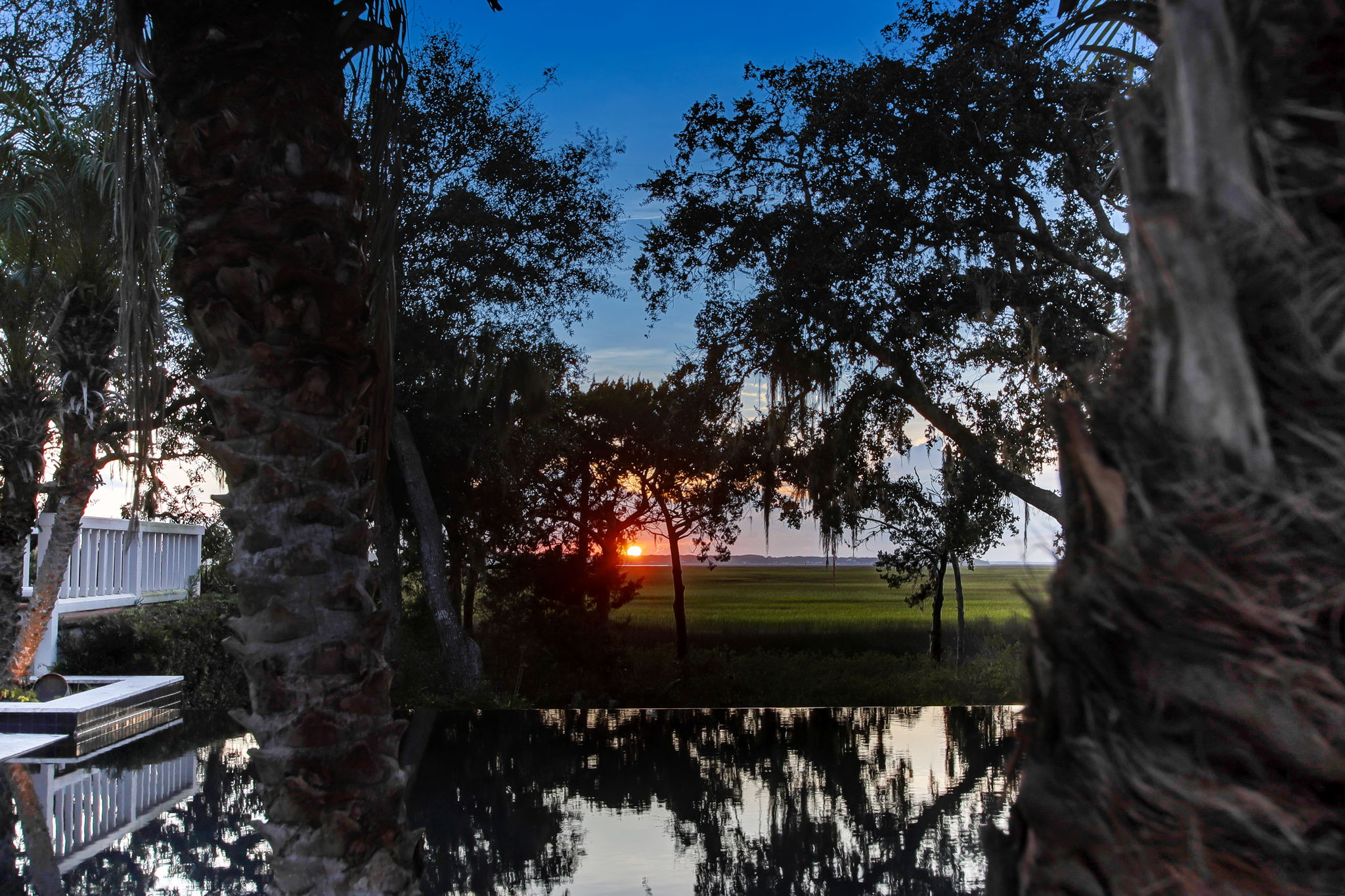 Twilight View