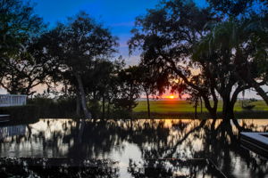 Twilight View