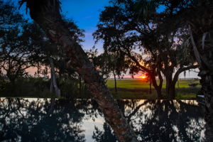 Twilight View