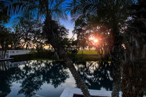 Twilight View
