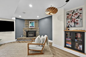  Photo 43