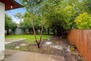  Photo 31