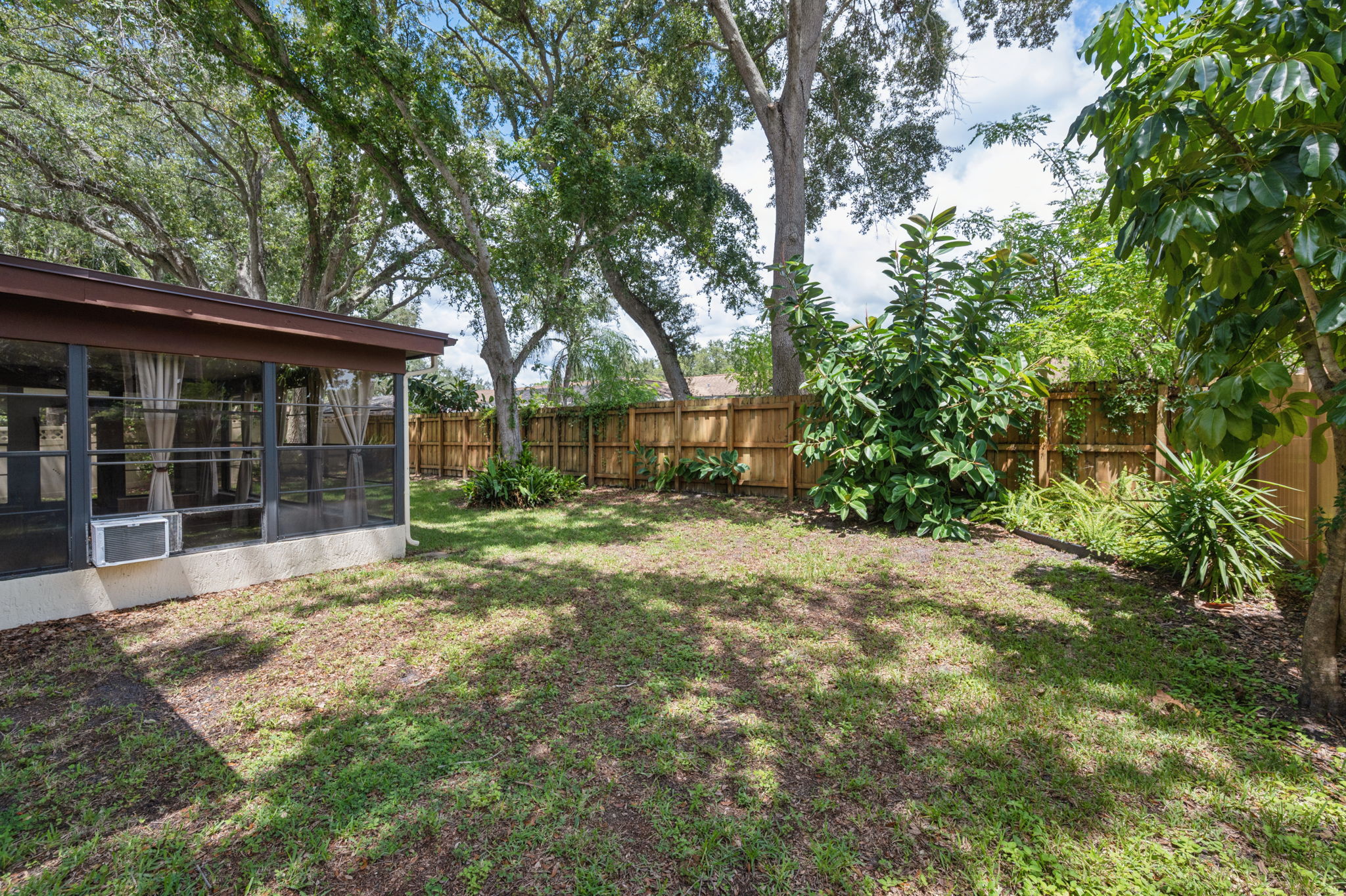 Backyard2