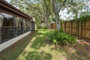 Backyard3