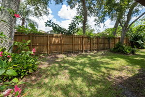 Backyard5