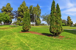 036_F8_2600 Cortez Dr 6102