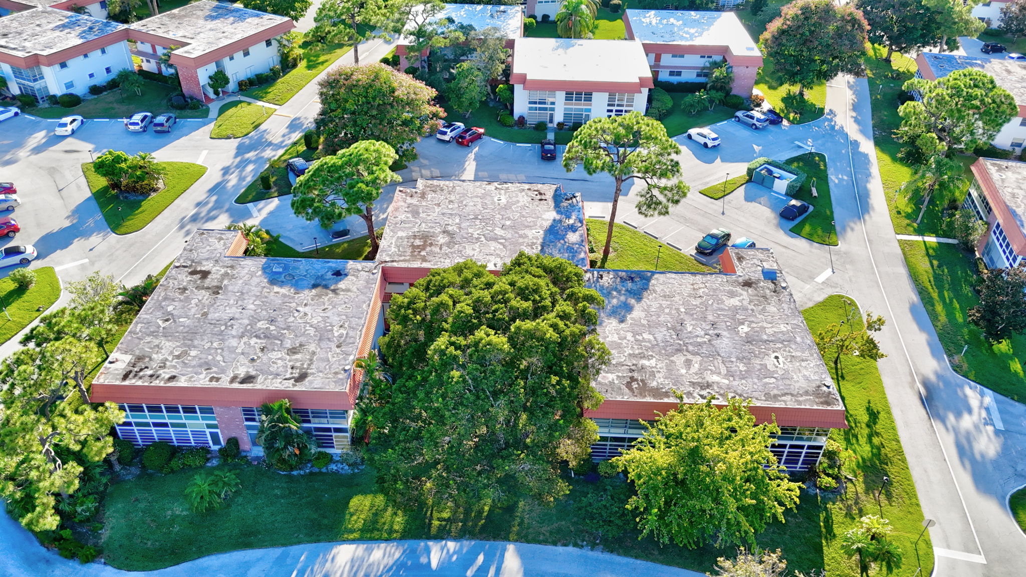  Photo 58
