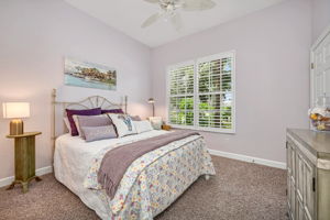 Guest Bed