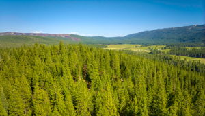  Photo 49