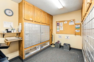  Photo 31