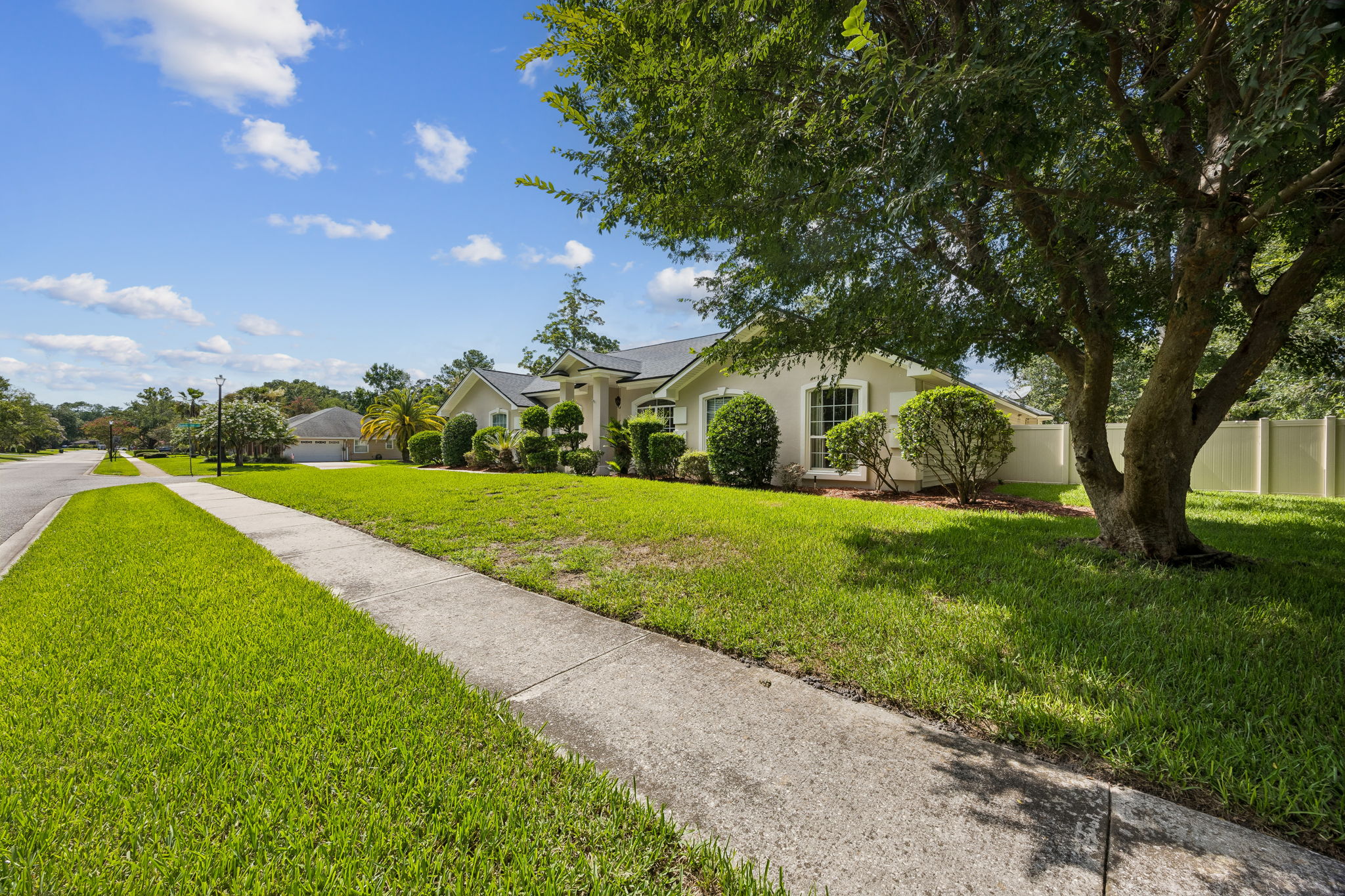Front Yard