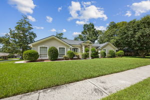 Front Yard