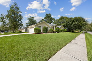 Front Yard