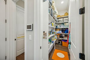 Primary Bedroom Closet