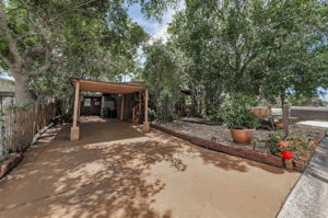 Driveway 1