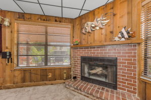 Fireplace 1