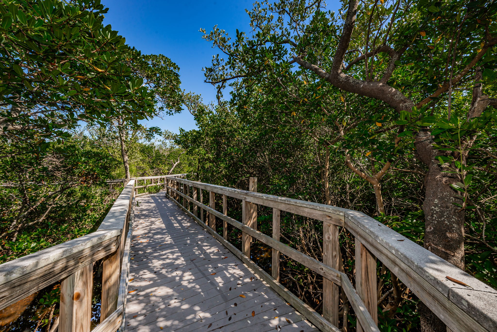 44-Nature Preserve Boardwark