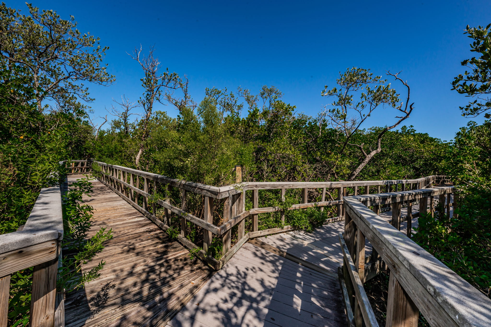 45-Nature Preserve Boardwark