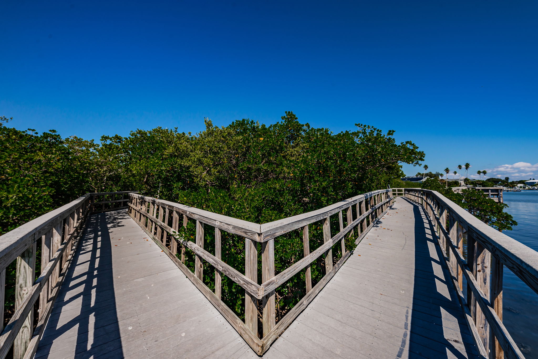 58-Nature Preserve Boardwark