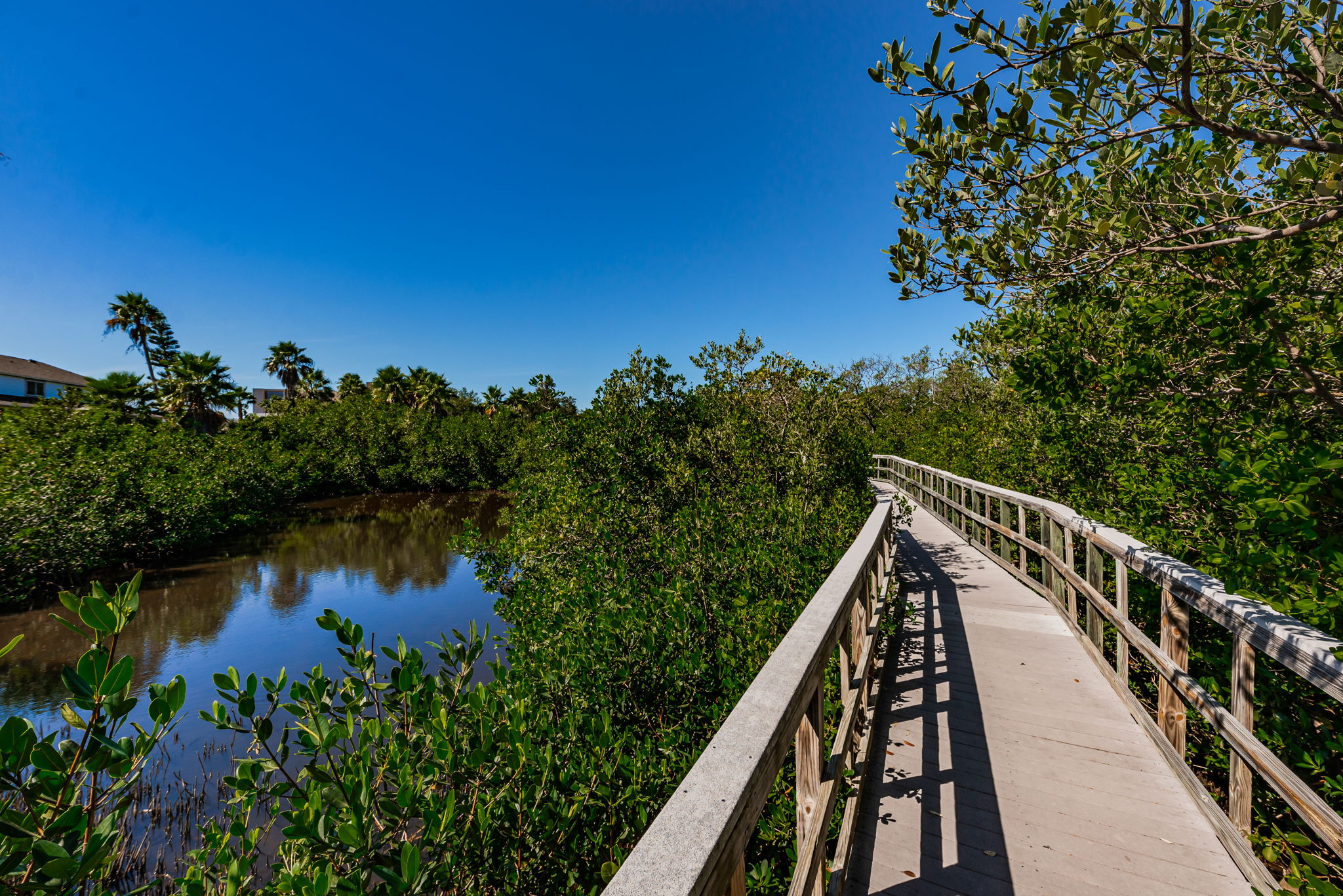 59-Nature Preserve Boardwark