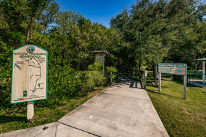 38-Nature Preserve Boardwark